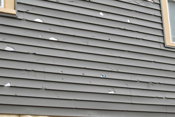Best Attic Cleanout  in Southchase, FL